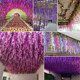 Simulated wisteria flower corridor ເພດານຕົບແຕ່ງ string ດອກ fake indoor and outdoor wedding plastic vine plant violet rattan