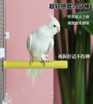 Ultra-light comfort Pet bird parrot grinding claw stand bar grinding beak unhurt to trim nail shelter wood