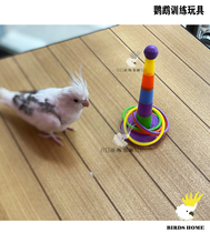 Parrot Puzzle Toy Pet Bird Ferrule Training Interactive Intelligence Toy Small Bird Use