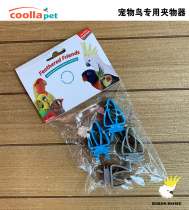 Pet Birds Special Clips Instrumental Fixed Food Snacks Ink Fish Bone Parrot Utensils Little Birds to be Home