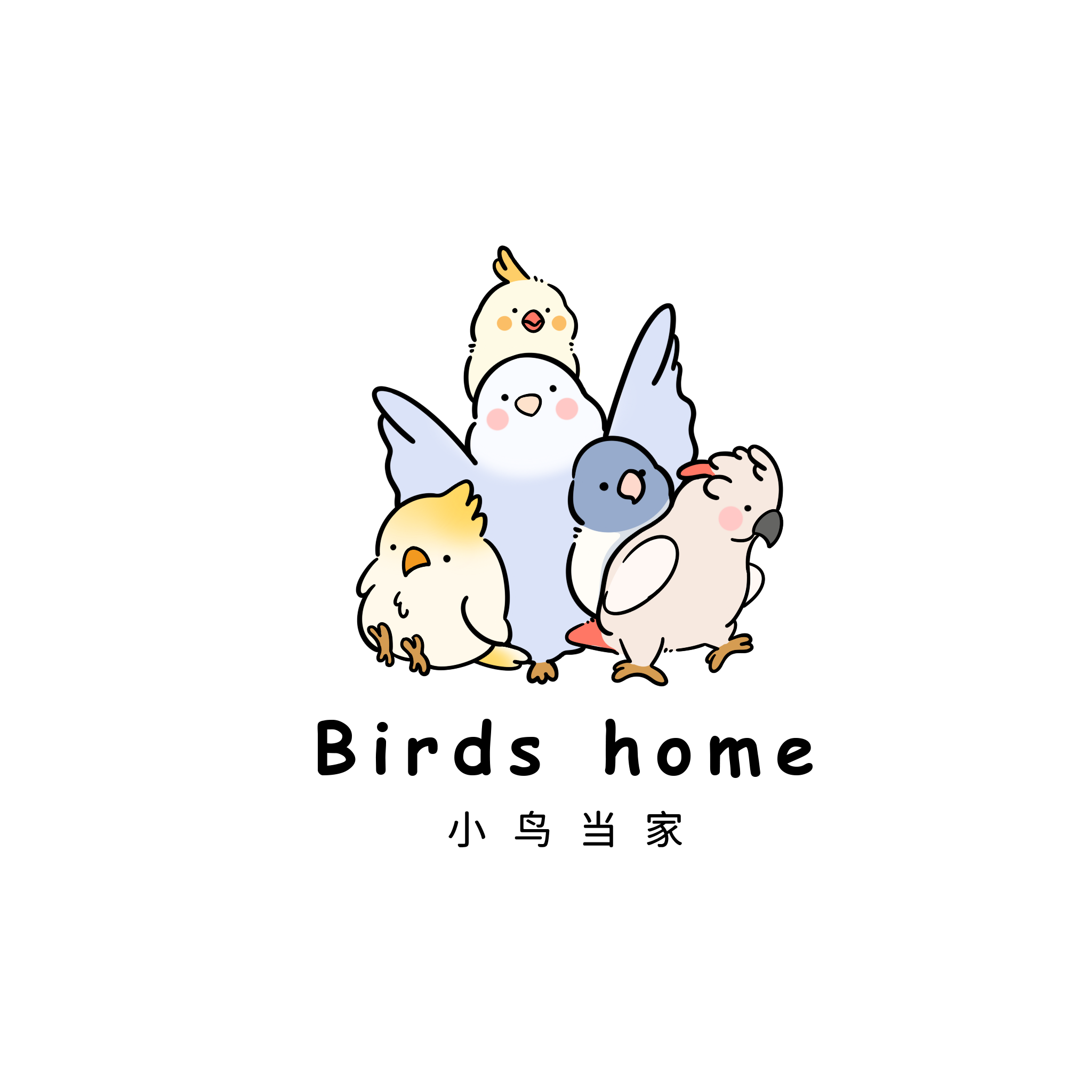 小鸟当家