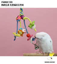 Parrot toy mineral ocean shell series tiger skin Xuanfeng Sun pet bird bird
