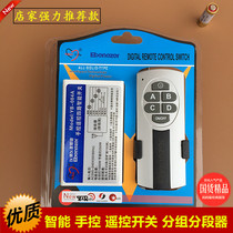 Remote control switch segment shunt grouping device two three four way lamps intelligent remote light wireless 220V with battery