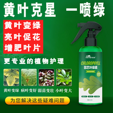 Питательная почва 【黄叶克星】植物一喷绿营养液