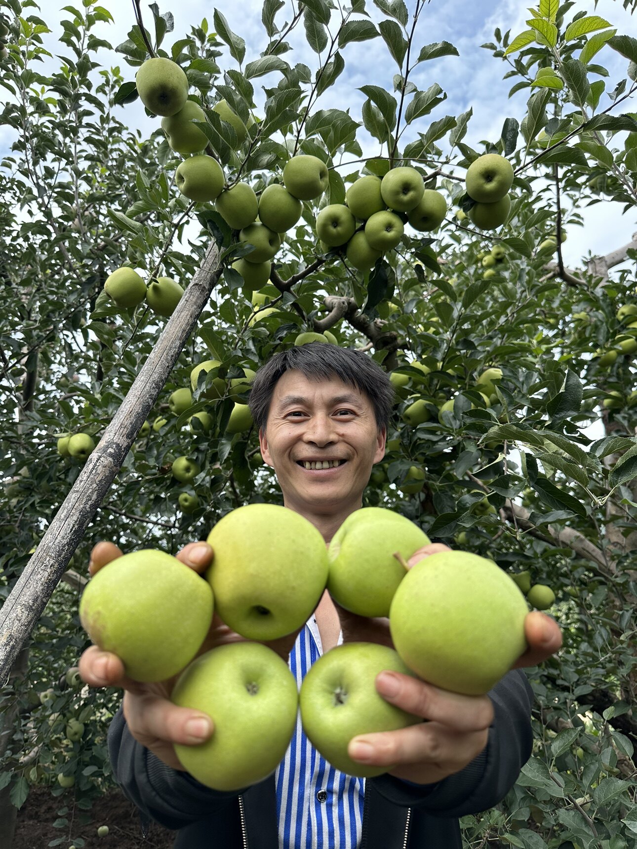 林溪哥的特产店