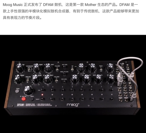 [Nanga m] moog dfam / mother-32 / subharmonicon salf-модуль синтезатор