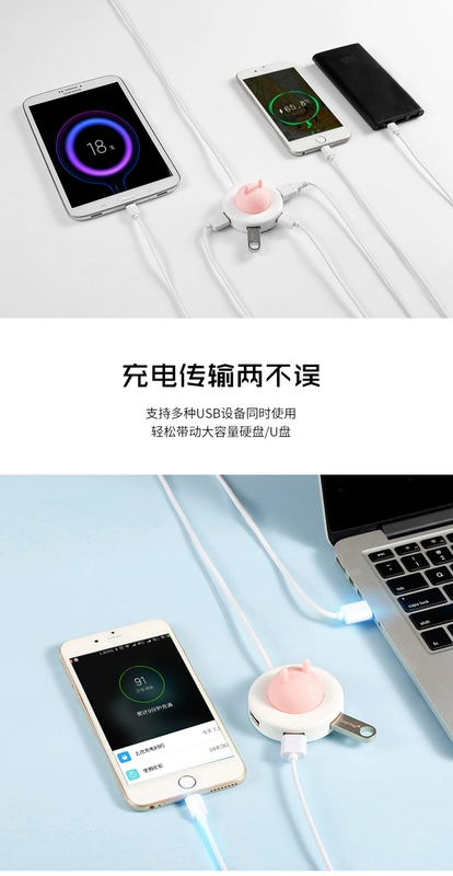 Dễ thương thú cưng mở rộng bộ chuyển đổi usb bộ chia trung tâm chuyển đổi trung tâm tap Apple laptop đa giao diện - USB Aaccessories