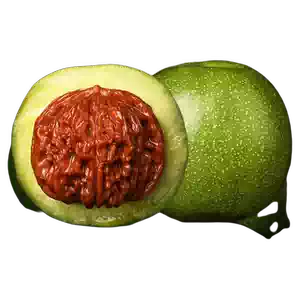 三棱核桃- Top 1000件三棱核桃- 2025年11月更新- Taobao