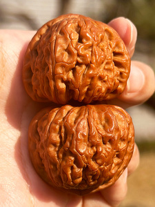 High Throw Literary Play Walnut Handle Play White Lion Chicken Hearts Handle Piece Plate Play Men's Official Hat Hand Pl