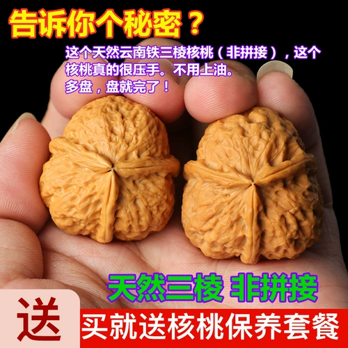 Игроки Вэньвана справляются с облако, Железный ореховый сиск