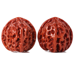 Wenwan Walnut Machine은 원래 색상과 팁을 브러시합니다.