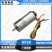 GM25 DC giảm tốc độ mã đo tốc độ động cơ DC động cơ cân bằng thông minh 370 bộ khung động cơ xe - Smart Scooter
