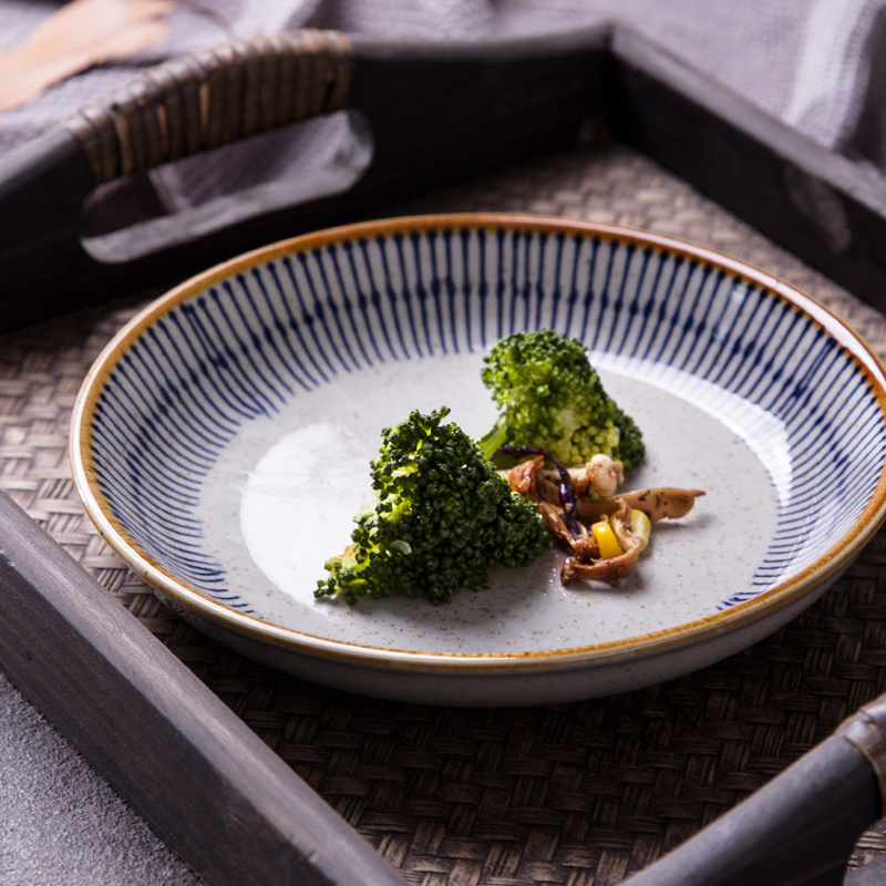 Day-style deep disc DISC CERAMIC HOME CUTLERY PLATE DINNER PLATE DINING HALL COMMERCIAL DINNER PLATE