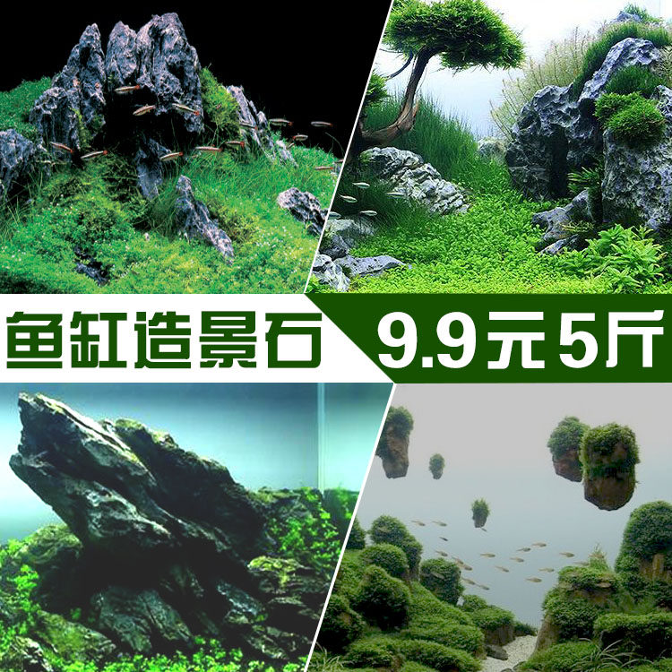 Pickling Qinglong stone fish tank landscaping stone fish tank suspended stone pine bark stone Avatar landscaping stone aquarium