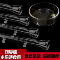 Crystal shrimp ornamental shrimp bowl feeding tube crystal glass feeding tube basin Bell mouth feeder