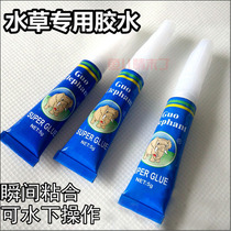 Guoxiong Aquarium Gel Super Glue Adhesive Glue Sticky Moss Water Grass Sunken Coral Broken 5g