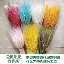 Natural dry wheat ears air-dried barley dried flowers colorful straw bouquet opening barley flower basket decorative props