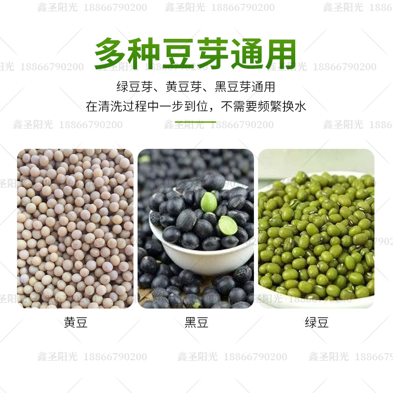 鑫圣阳光大型商用豆芽去壳机：黄绿豆芽筛皮机豆芽去皮机，让豆芽处理变得简单高效！