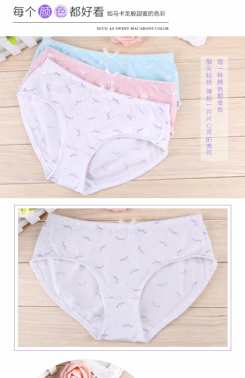 Slip jeune en coton - Ref 640146 Image 17