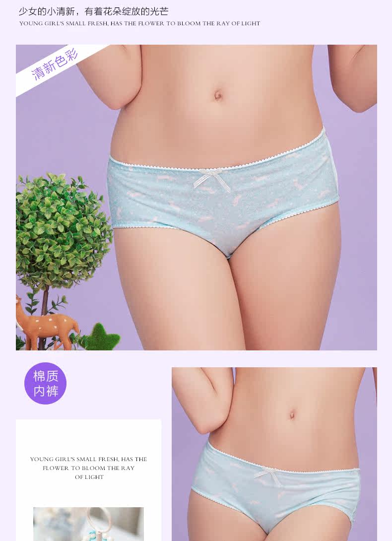 Slip jeune en coton - Ref 640146 Image 15