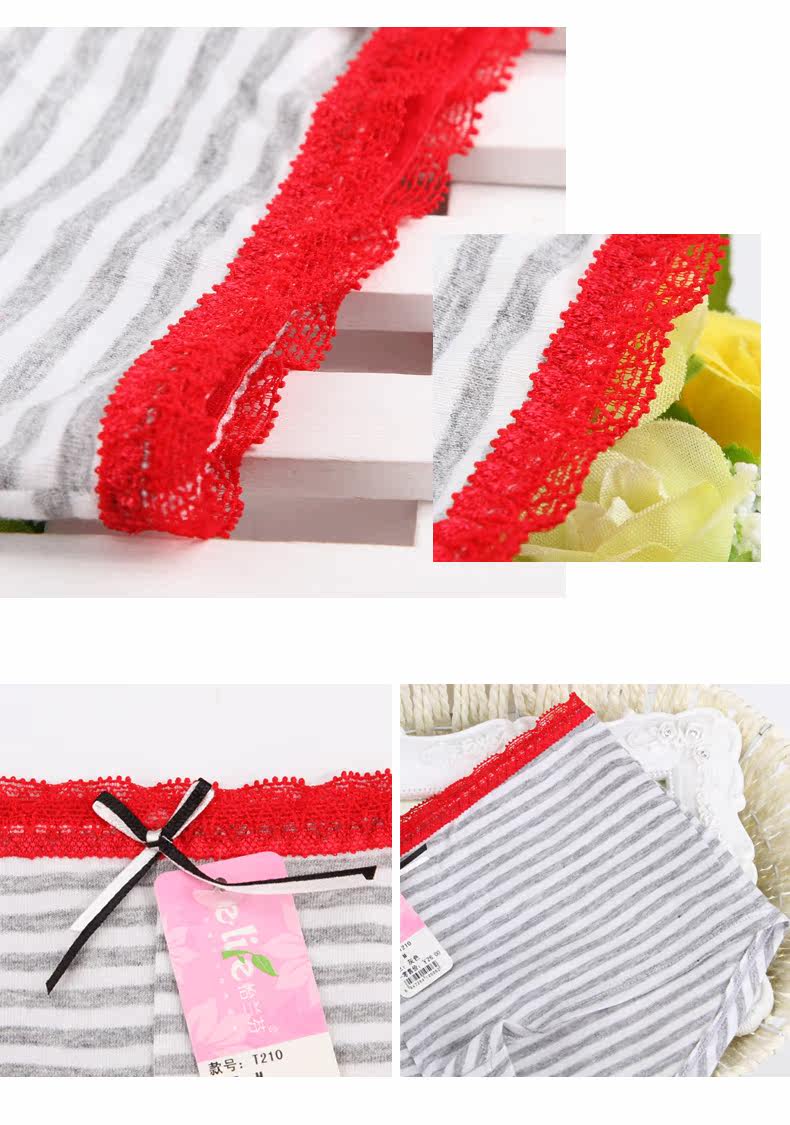 Slip jeune T210 en coton - Ref 639441 Image 14