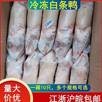 Fresh frozen white striped duck Cherry Valley lean duck meat whole 10 pieces restaurant barbecue duck whole box for commercial use