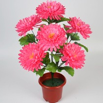 Simulation of 7 lasagna chrysanthemum stalls Qingming sacrifice tomb sweeping cemetery cemetery place on the graves