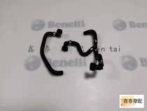 Suitable for small Huanglong BJ300GS Lanbaolong BJ150-17A gasoline pipe gasoline filter original parts