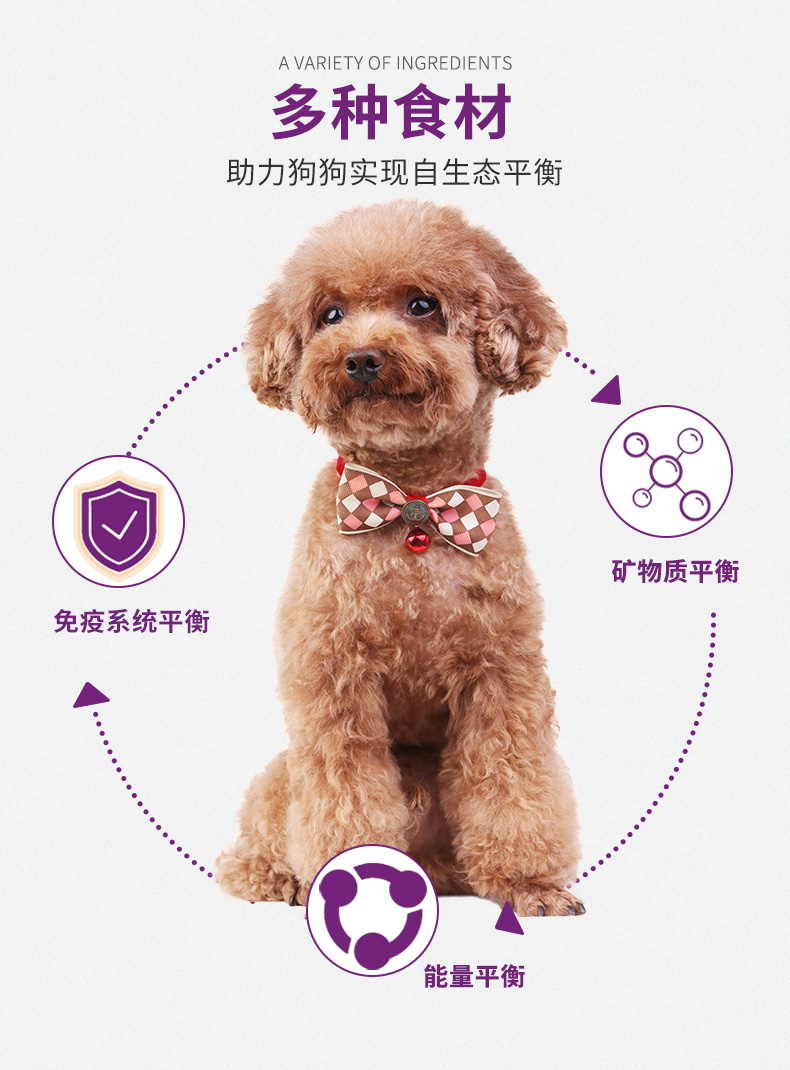 MYFOODIE 麦富迪 营养森林 全面营养小型犬犬粮 1.3kg 图2