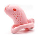 Small Goldfish Male Chastity Lock Lower Body Training Resin Chastity Lock Birdcage Cute Abstinence Masturbation Restraint Crossdresser Bdsm