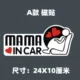 Магнитная палка