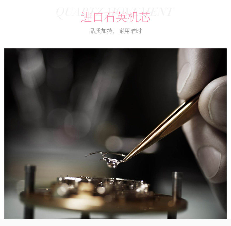 Montre bracelet pour Femme POSCER    - Ref 3272072 Image 14