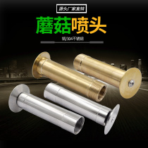 All copper 304 stainless steel mushroom nozzle hemisphere nozzle water landscape fountain 1 inch DN251 5 inch 2 inch DN50