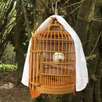 Female bird cage plastic plastic cage thrush bird cage myna myna coral Cantonese bird cage trumpet 28 diameter small bird cage