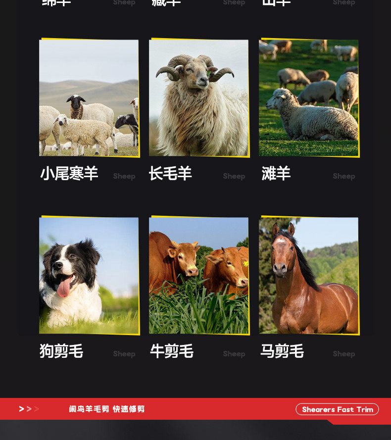 Ножницы 电动羊毛剪电推子剪羊毛的电推子专用剪羊毛机大功率剃羊毛电推子