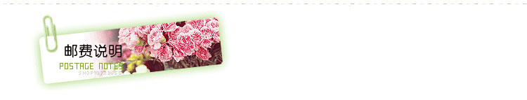 Broche en autre - Ref 1183787 Image 14