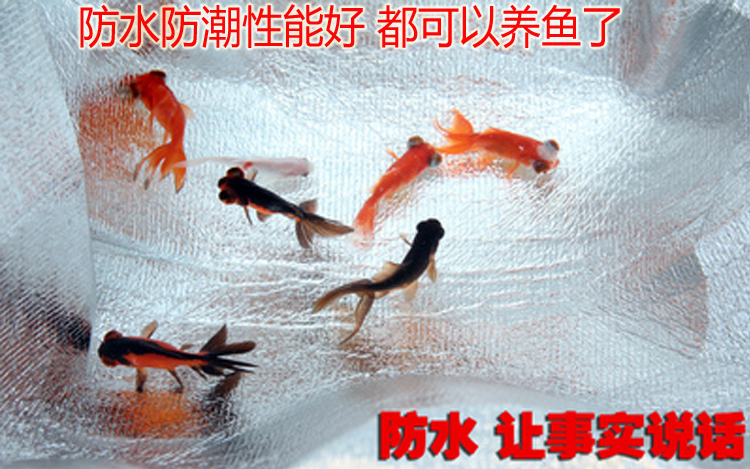 Hai mặt nhôm phim mat mat dã ngoại đôi dày nhiều người bãi biển cắm trại lều mat dã ngoại mat - Thảm chống ẩm / Mat / Gối thảm picnic