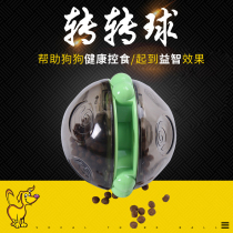 Eschamp pet pooch Missed Ball Teddy Puppies Tumbler tumbler Toys grinders Biting Large Dog Gold Wool Leakers