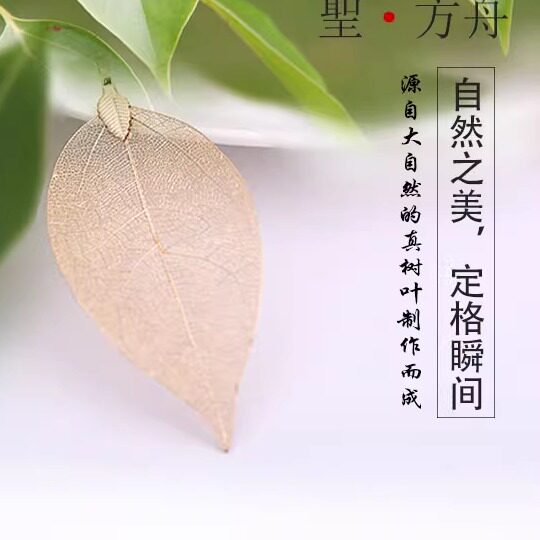圣方舟天然树叶饰品