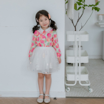 Clearance 2112 Shirt and 2118 Embroidered Mesh Skirt Set-Dismantle