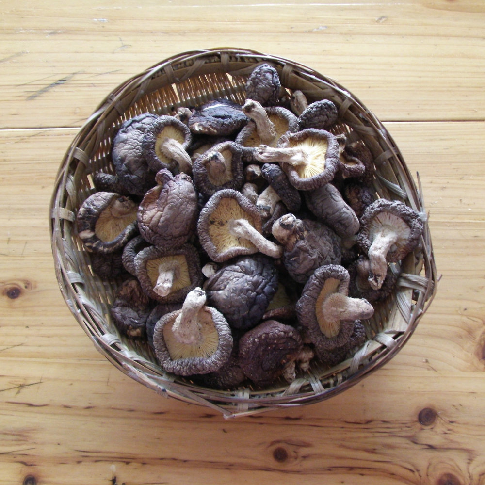 21 years of new 500g Qingchuan Alpine baswood small mushroom farm self-produced edible fungus dry non-sulfur