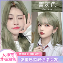 Turquoise hair dye cream free from bleached turquoise tea brown plant pure woman at home linen dyed head paste grey rice dumplings