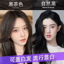 Deep Brown Black Tea Natural Black Dye Cream Chocolate color yourself at home dyeing foam Nanjing Tongrentang