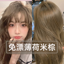 Mint rice brown hair dye popular milk tea colour free of bleach yourself at home dyeing your hair free of balm plant pure