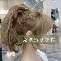 Milk Tea Grey Brown Hair Dye Plant Pure 2023 Pop Color white dye Hair Cream Foam Natural no Spurs