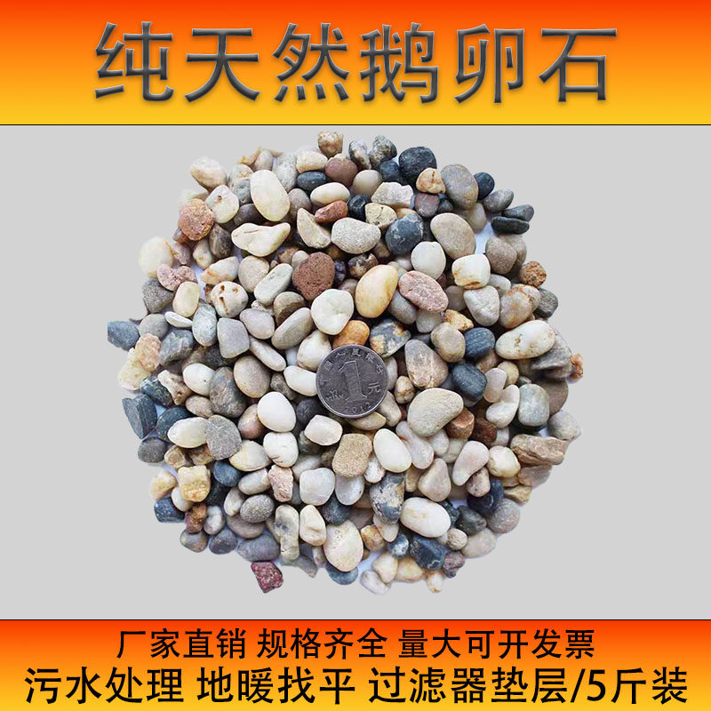 天然鹅卵石滤料鱼缸过滤园林雨花石造景庭院铺路溪流石