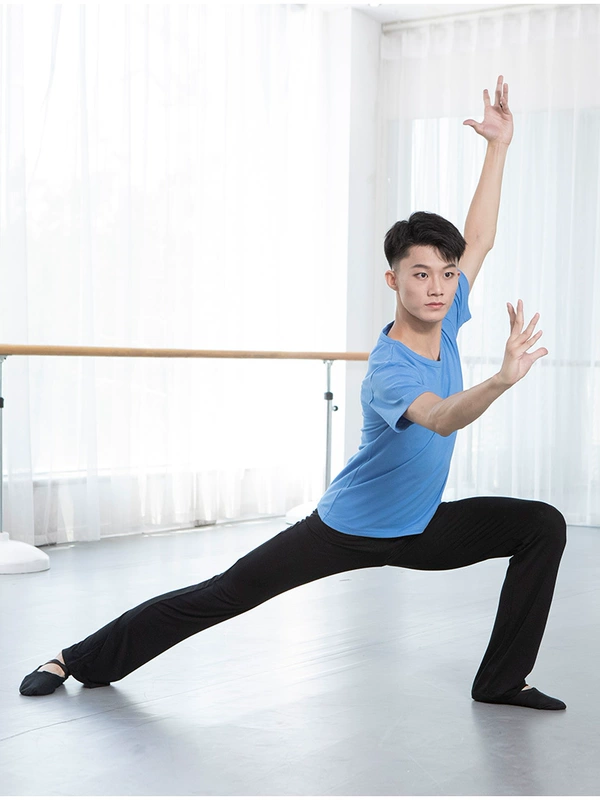 váy nhảy dancesport Màu Đỏ Giày Khiêu Vũ Nam Quần Áo Tập Nhảy Tay Ngắn Cao Cấp Thử Nghiệm Nghệ Thuật Người Lớn Cổ Tròn Quần Áo Khiêu Vũ Cơ Thể Cotton Rời Áo Thun giày khiêu vũ