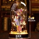 苹 𬞟果糖康纳模型+灯罩
