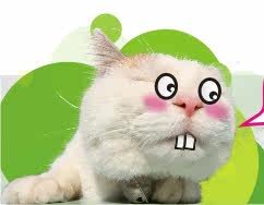 Corset - Ref 675686 Image 16