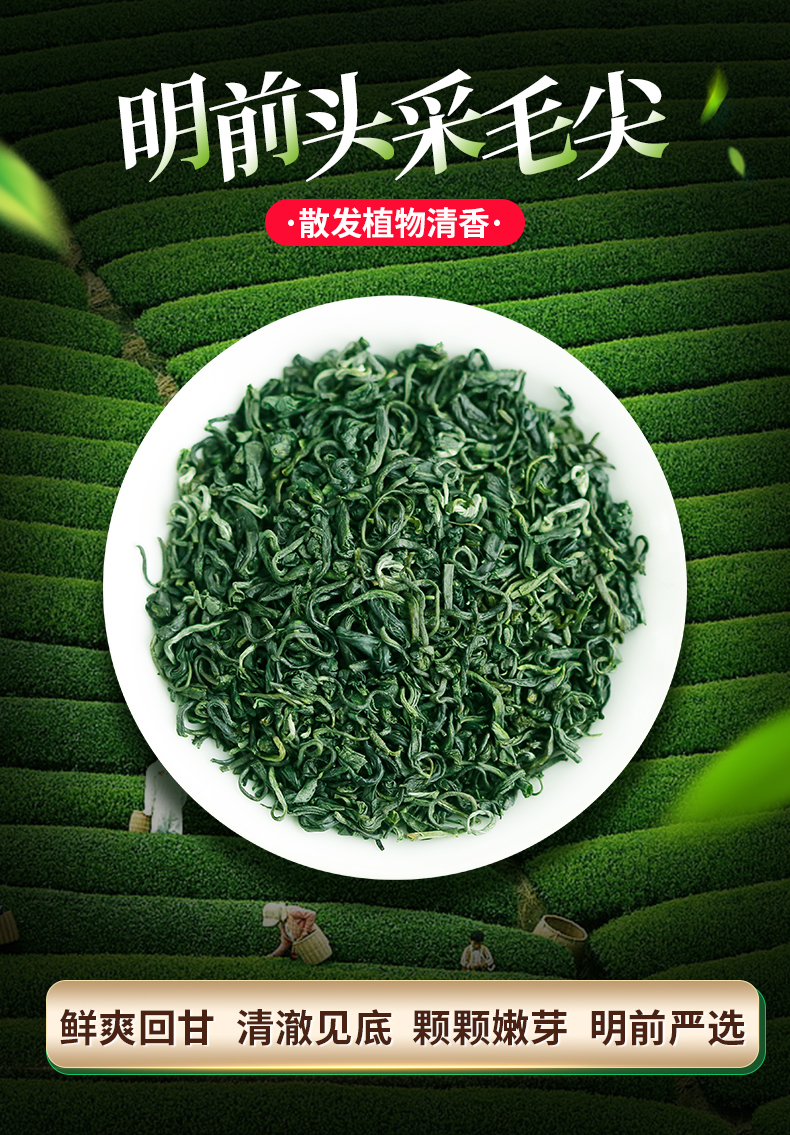川红集团旗下 林湖  明前高山毛尖 250g*2盒 图3